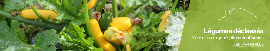 Légumes déclassés